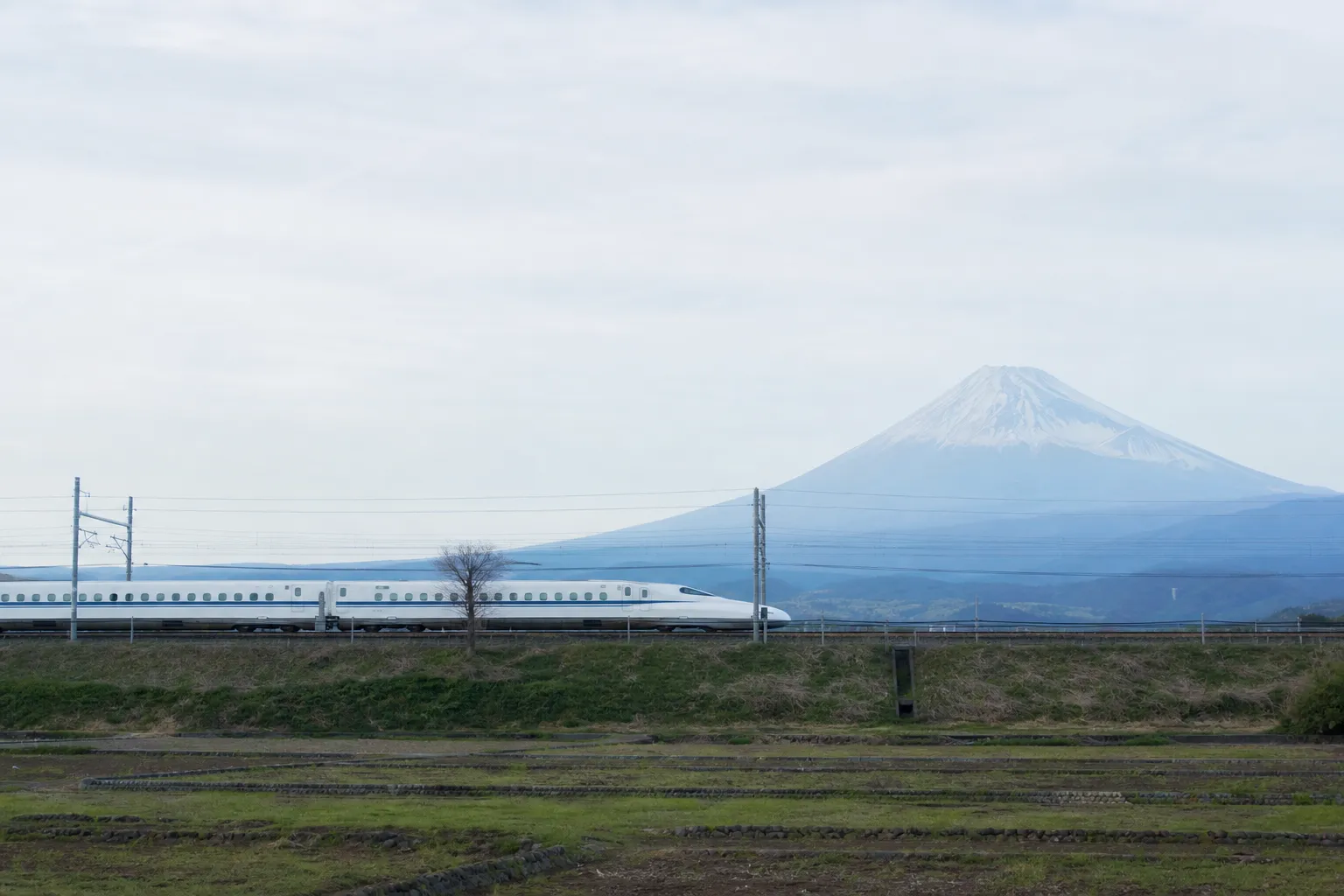 Tokyo to Kyoto Guide: Best Routes and Tips for 2025