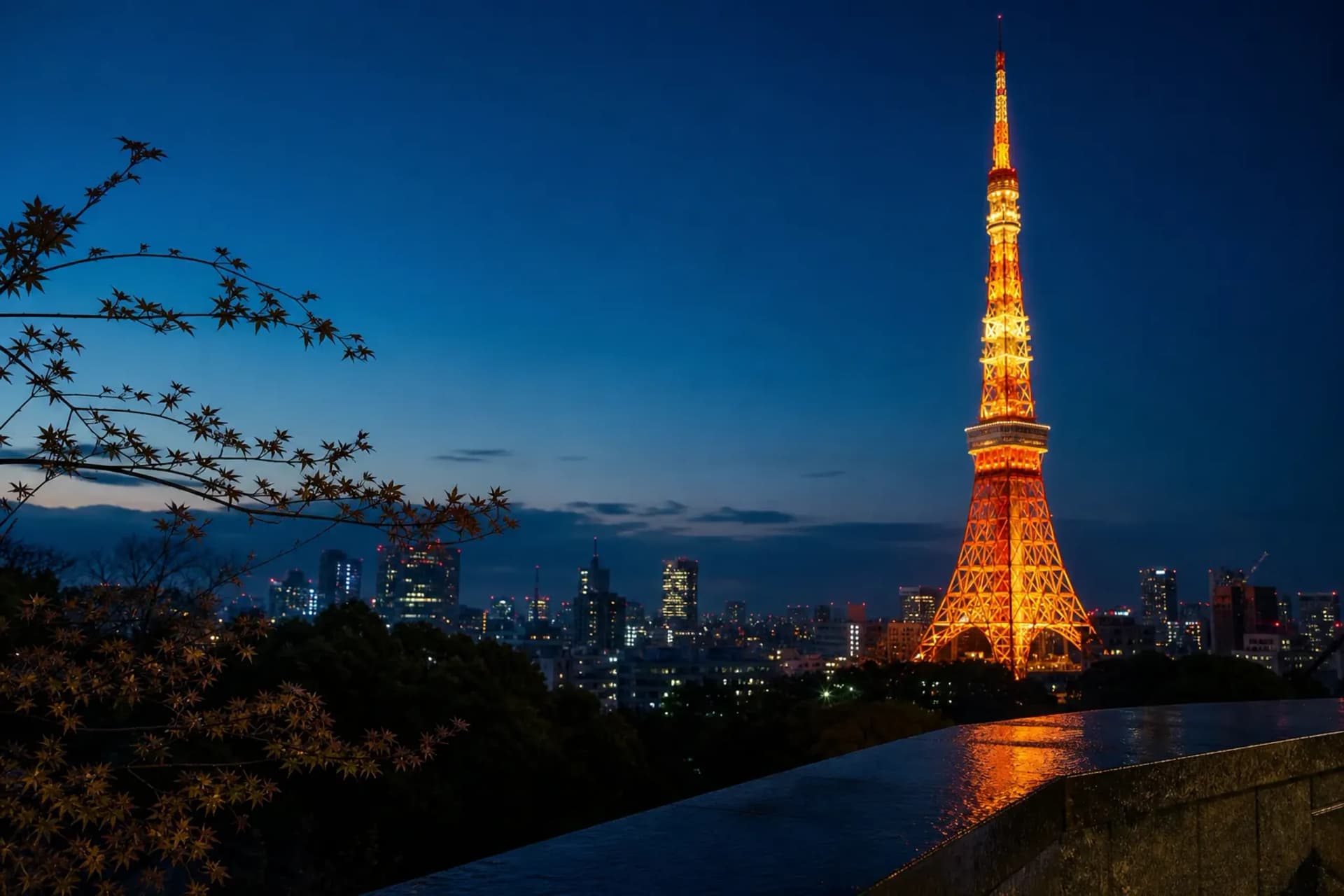 Tokyo Tower 2026 Night Routes Made Easy