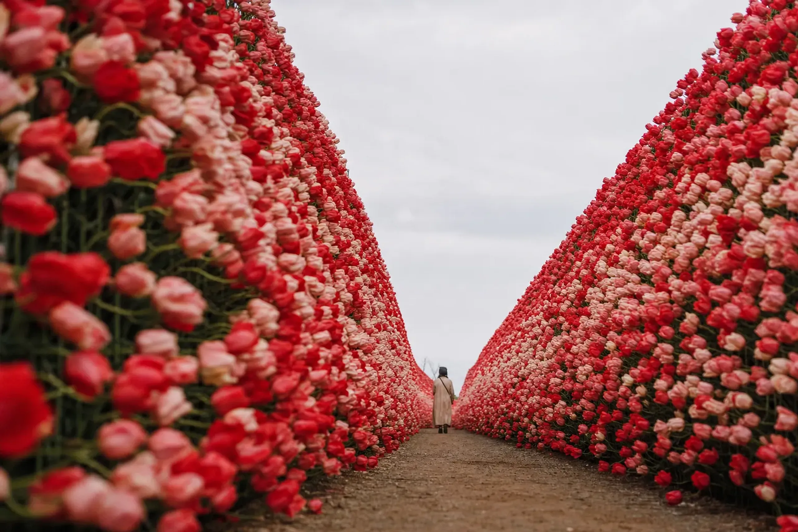The Hana no Ōtani tulip-petal wall, a four-meter-high corridor of layered tulip blooms echoing the Tateyama snow wall