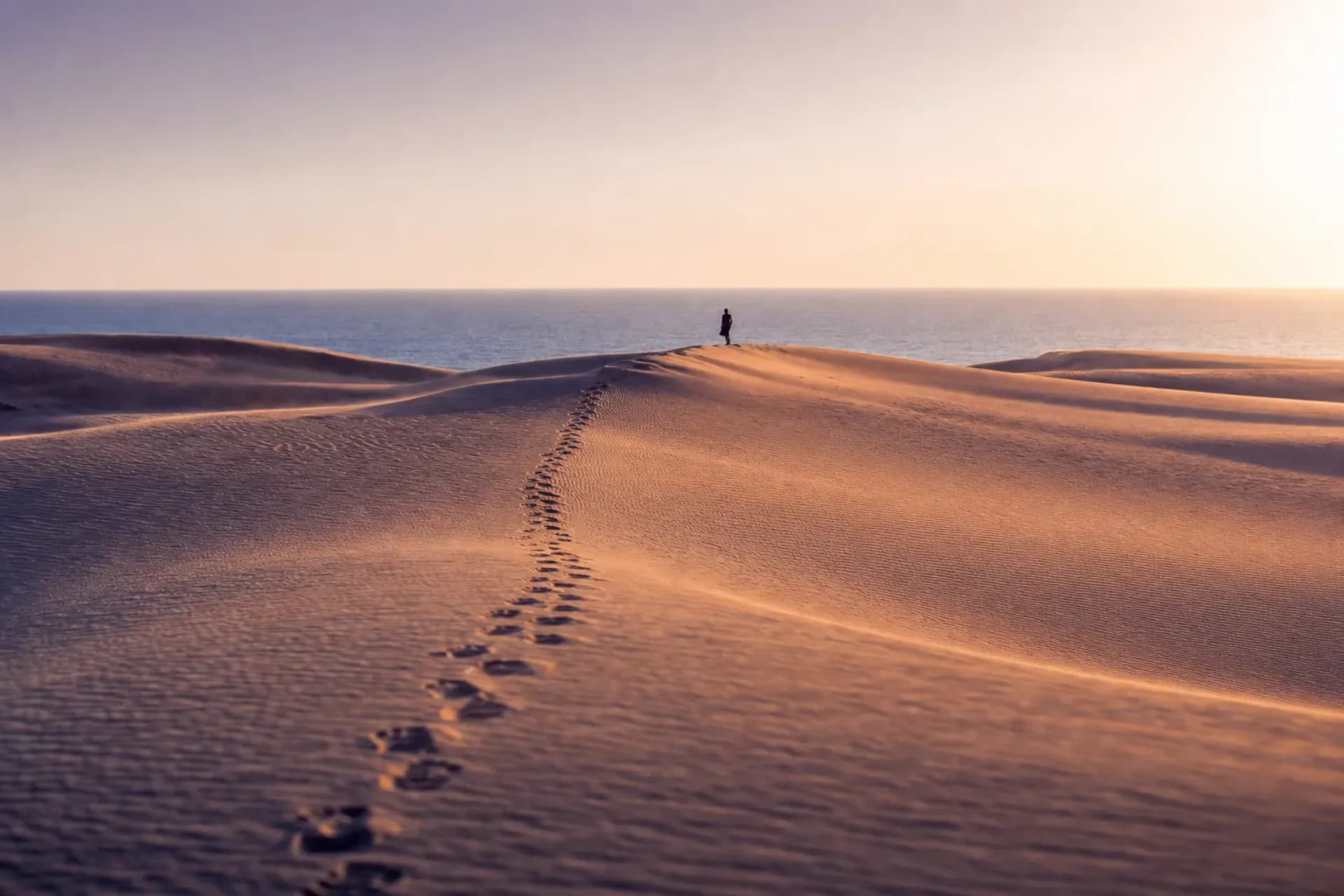 Tottori San'in Extension: Dunes, Museum & Uradome Coast