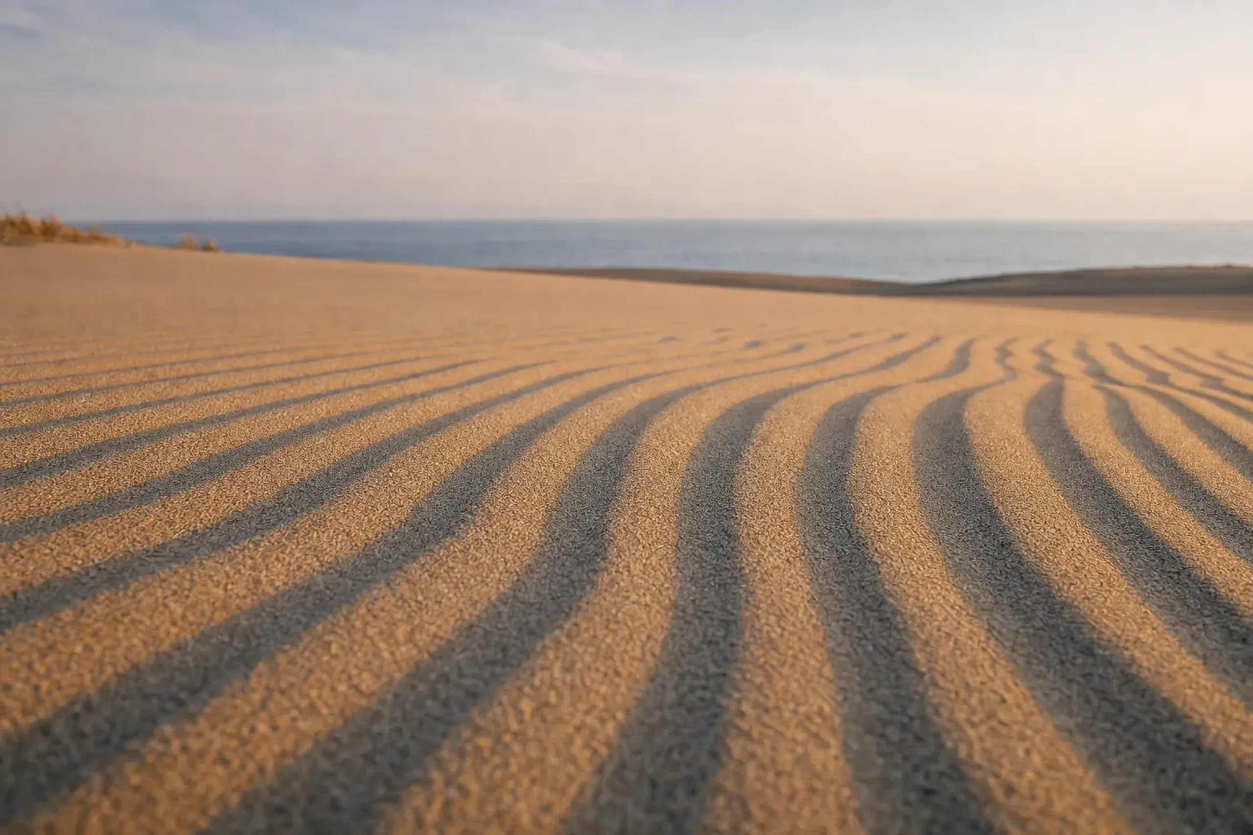 wind-carved fumon ripple patterns rippling across the pale Tottori dune surface toward the sea