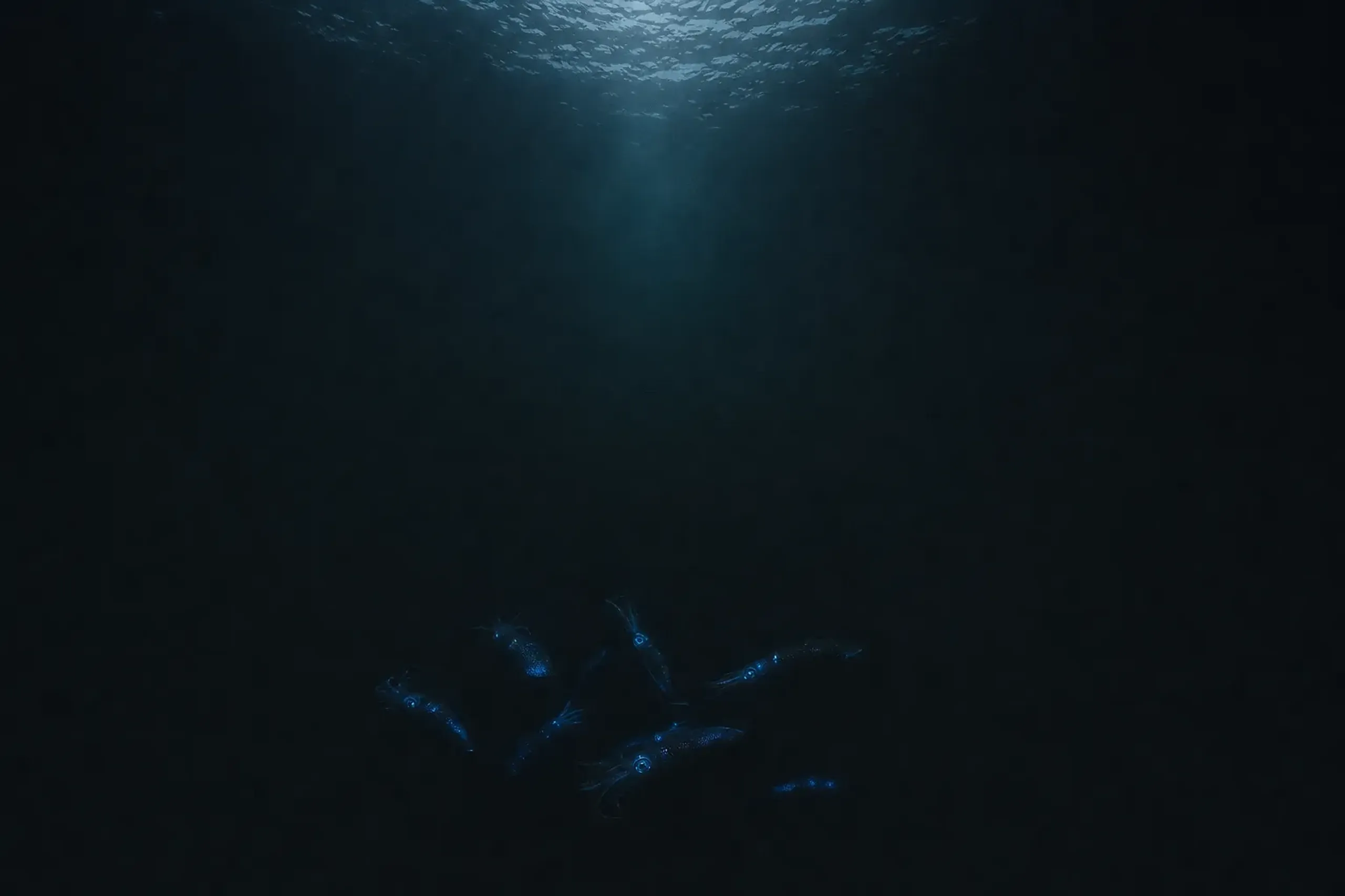 Most of the year they stay far below the surface,