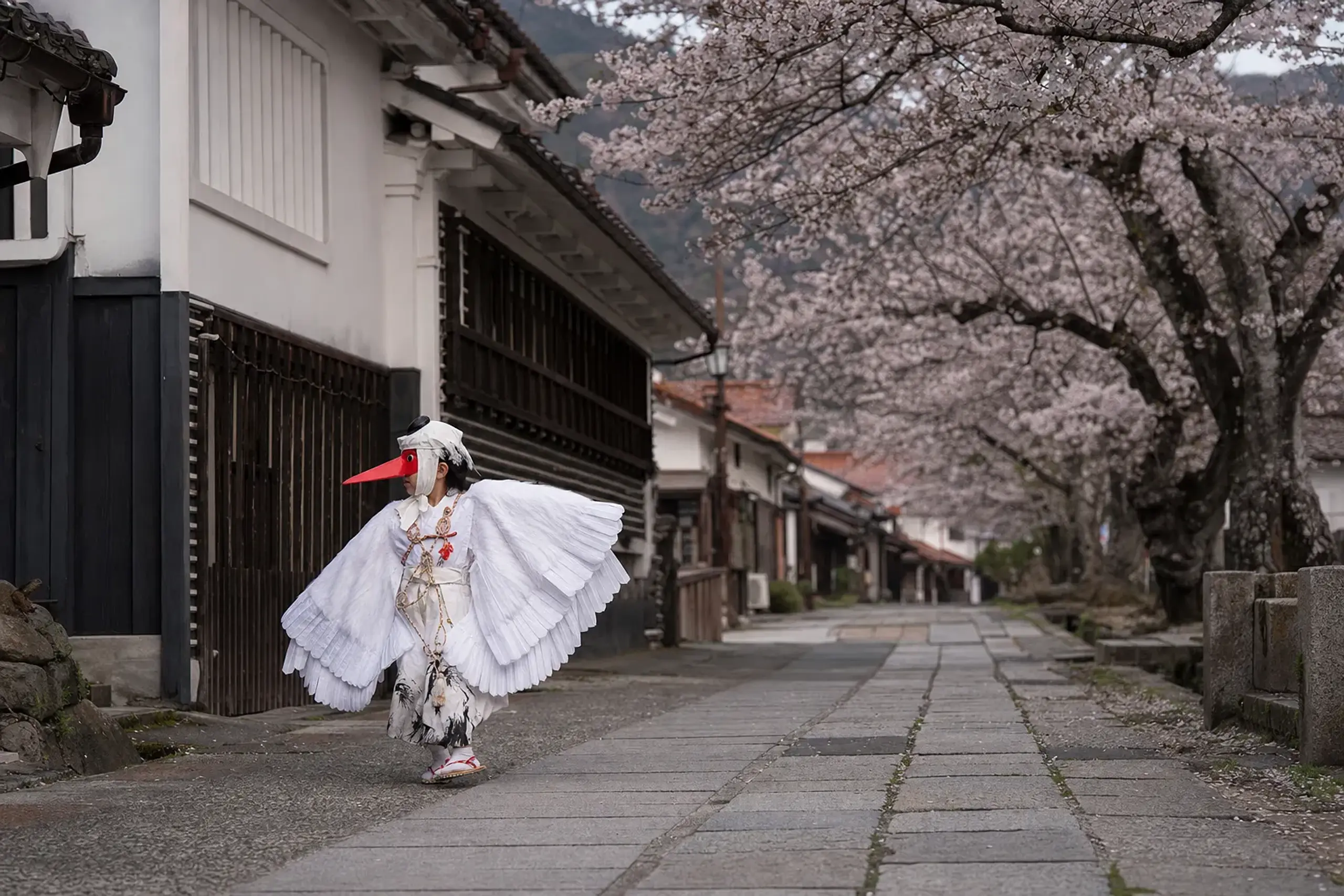 Earlier in the day, Tsuwano also presents a “young heron”