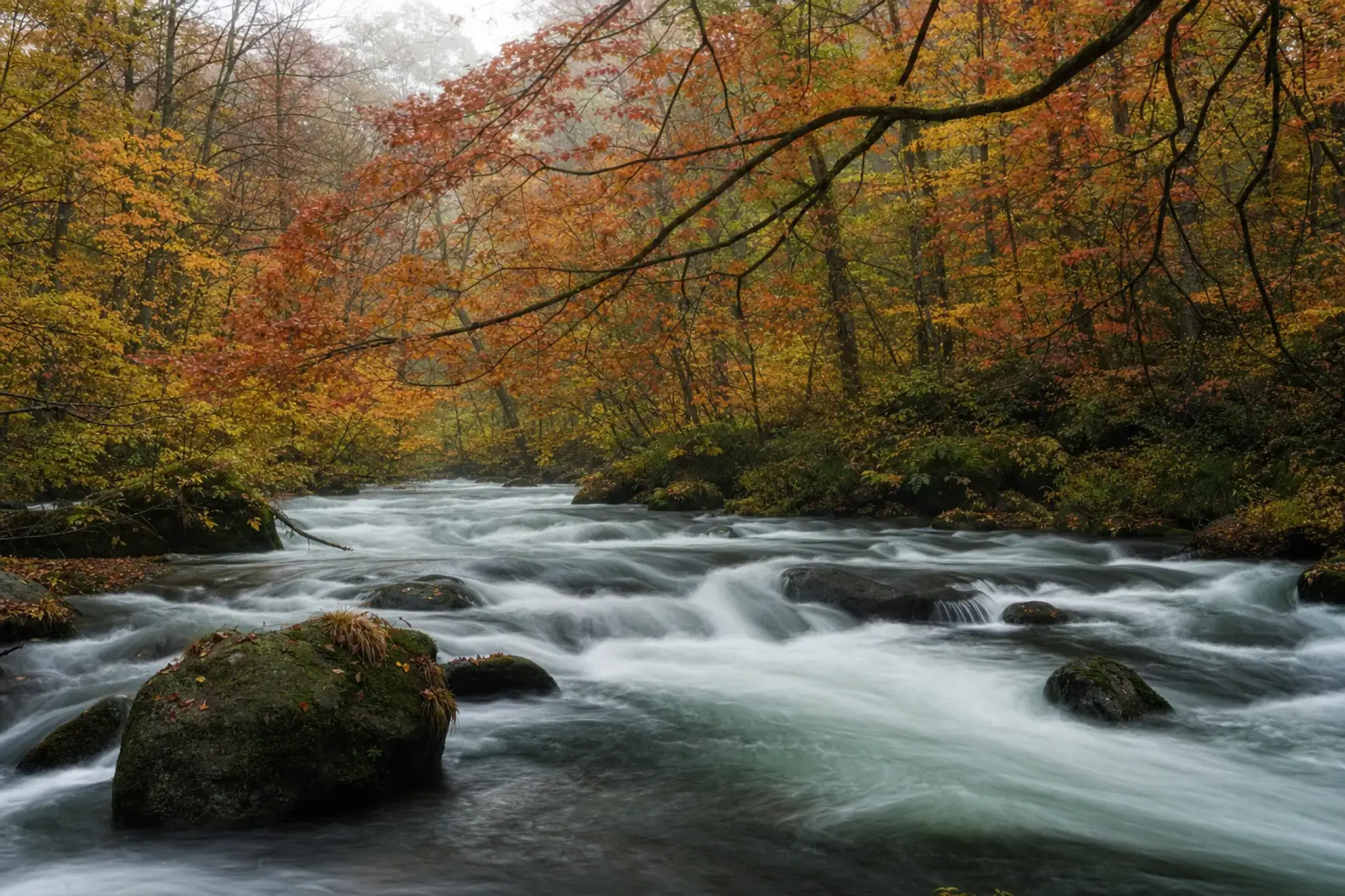 the maple-lined rushing waters of the Oirase Stream in Aomori during mid-October kōyō