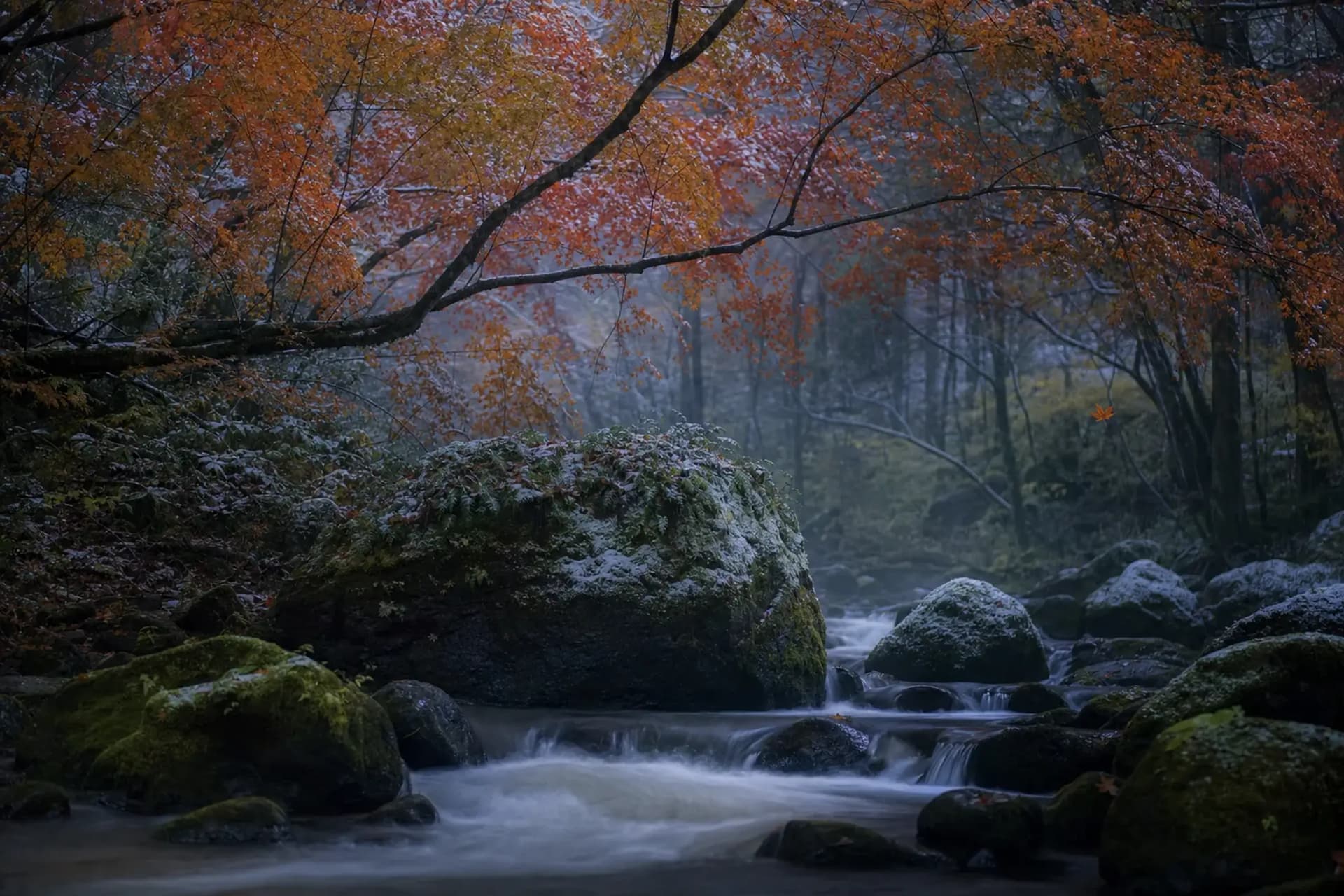 Two Fronts, Not One: Autumn in Tōhoku