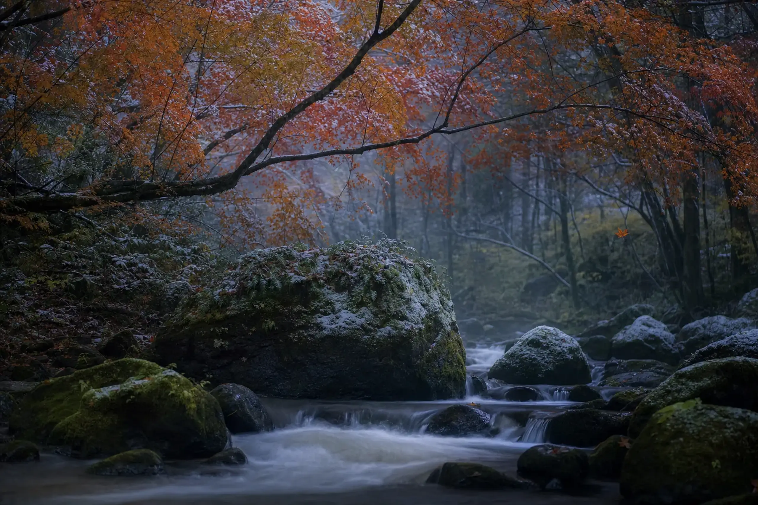 Two Fronts, Not One: Autumn in Tōhoku