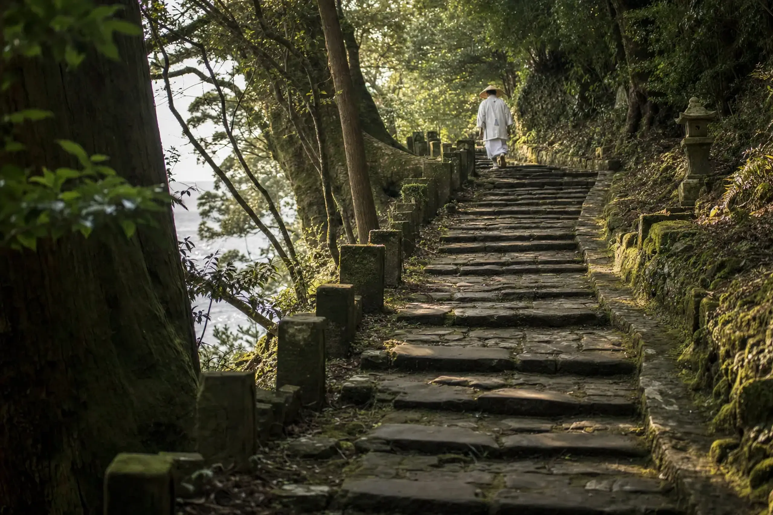The steep stone steps of the historic Hacchō-zaka pilgrim approach climbing the forested Nichinan coastal hillside