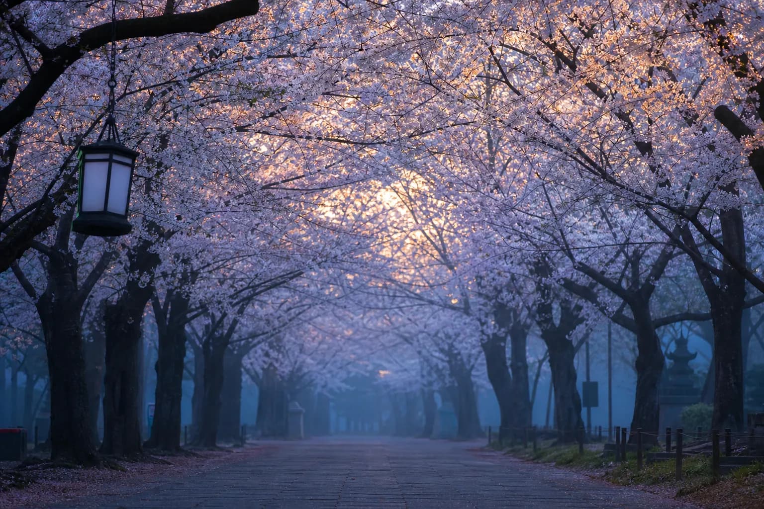 Peak Bloom at Ueno Park: How to Beat the Crowds for the Best Hanami