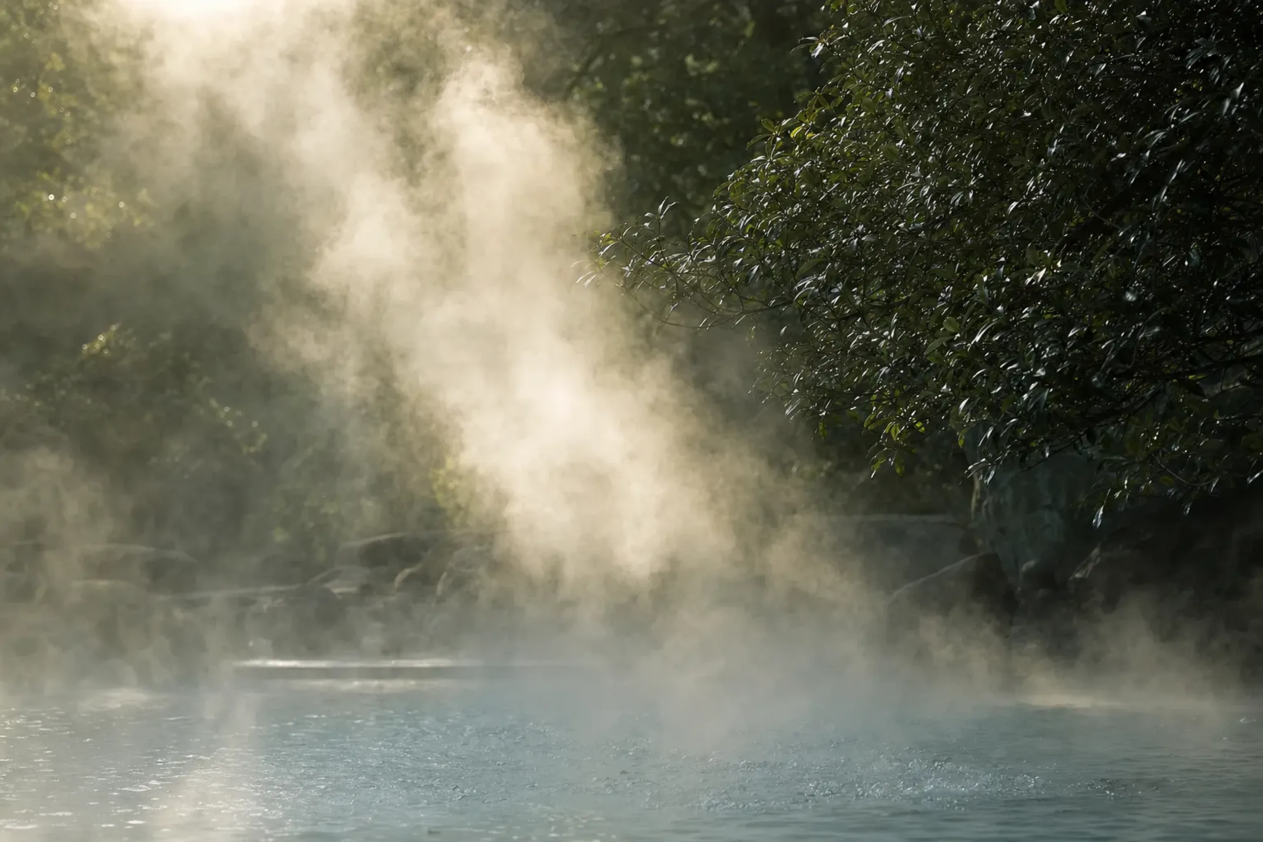 Steam lifting through green broadleaf leaves above the boiling geothermal pools of Unzen Jigoku