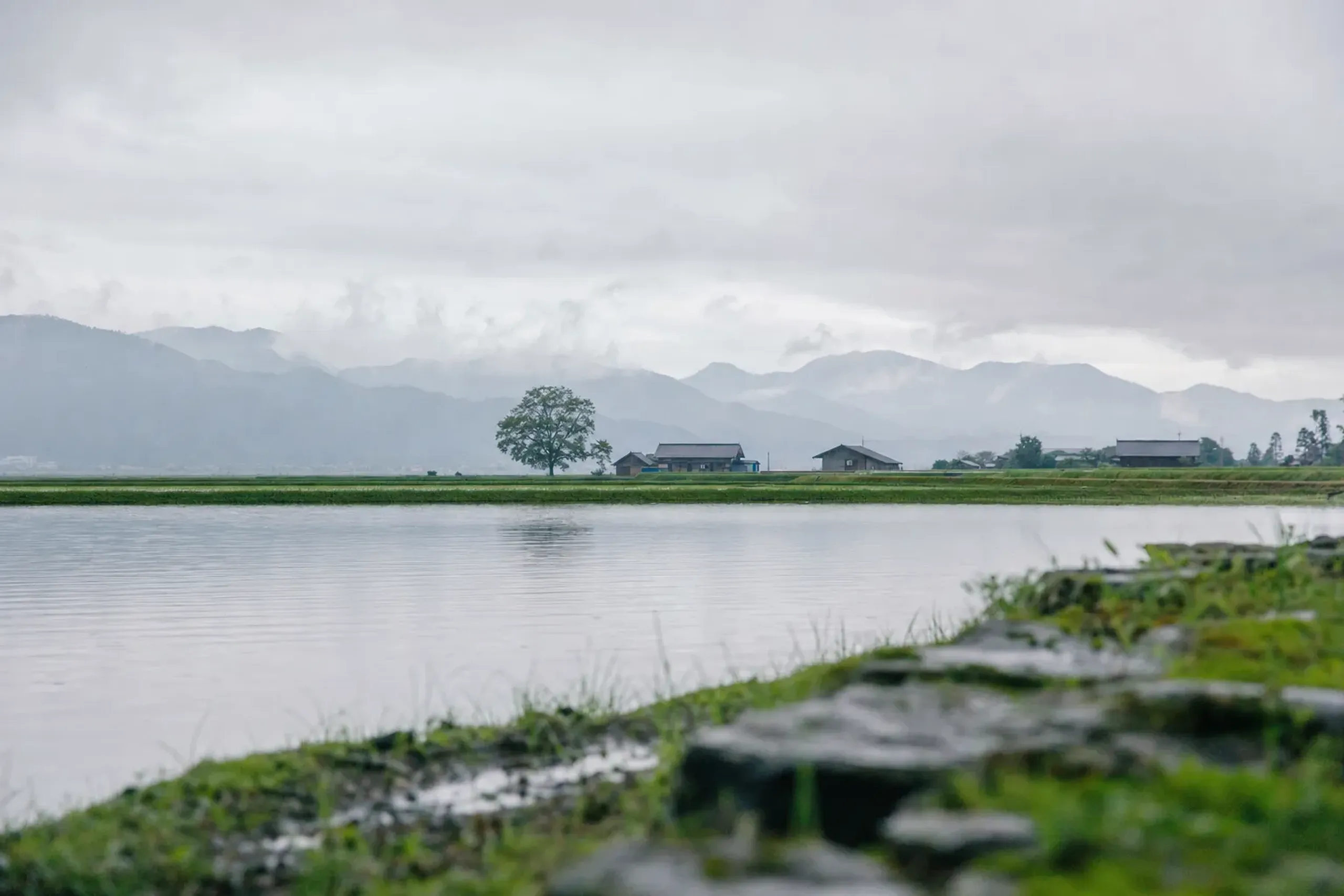 the calm agricultural shoreline of Lake Biwa in Shiga with farmland stretching toward distant hills