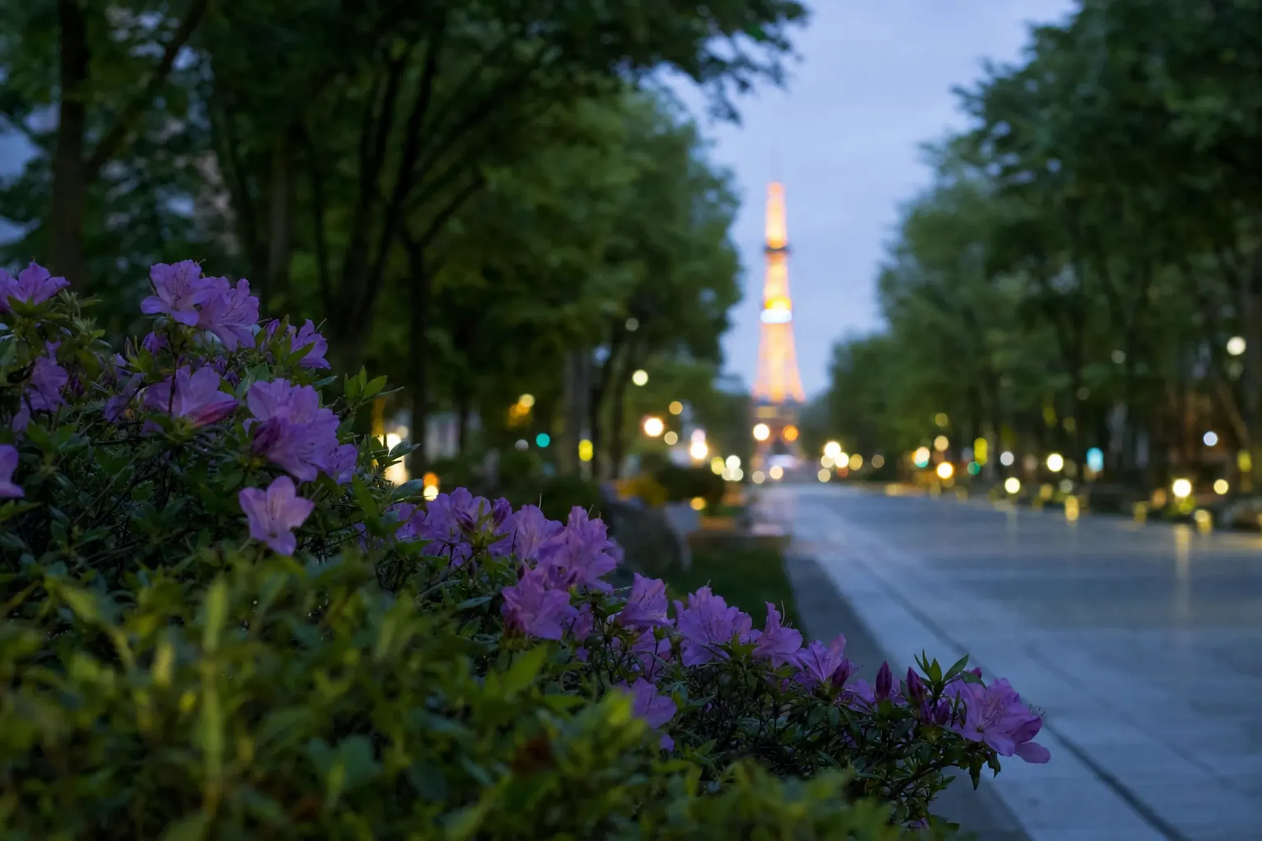 The main parade route through Ōdori Park in Sapporo with the Sapporo TV Tower rising above the tree-lined promenade