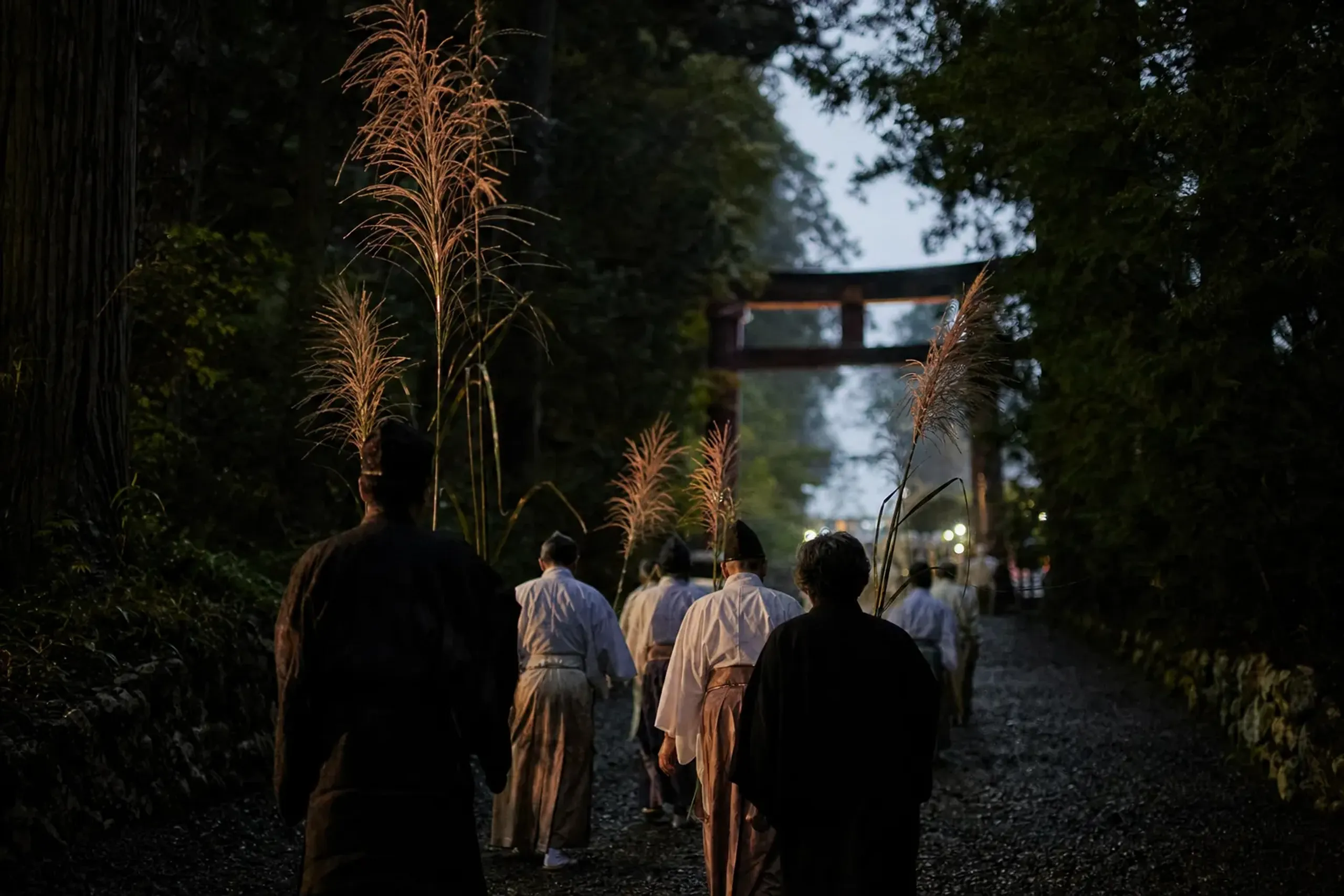 tall pampas-grass (susuki) offerings carried by worshippers walking back toward Kitaguchi Hongū Fuji Sengen Shrine as daylight fades