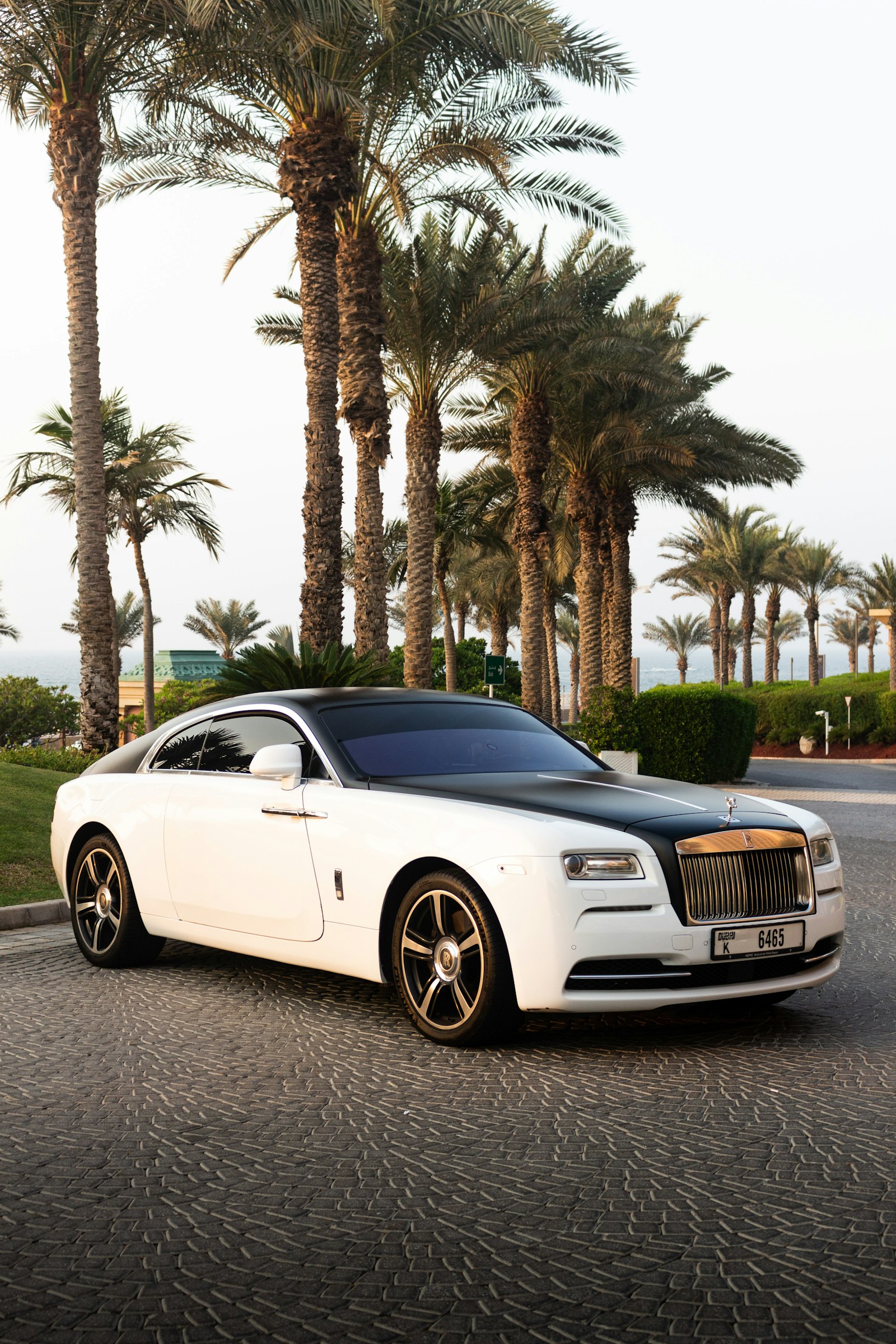Why a Private Chauffeur Changes Everything in Japan