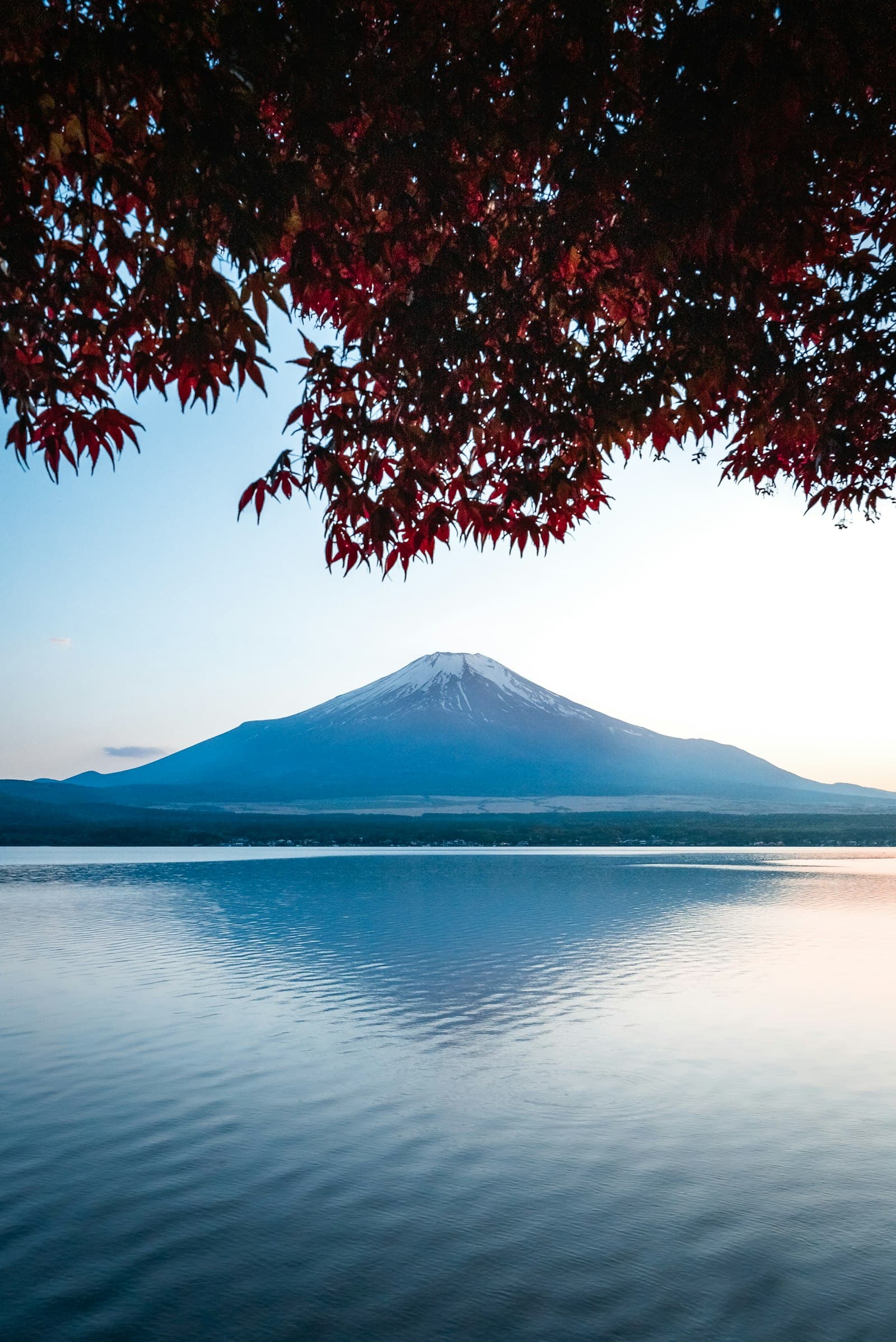 Autumn maple leaves over a mountain lake