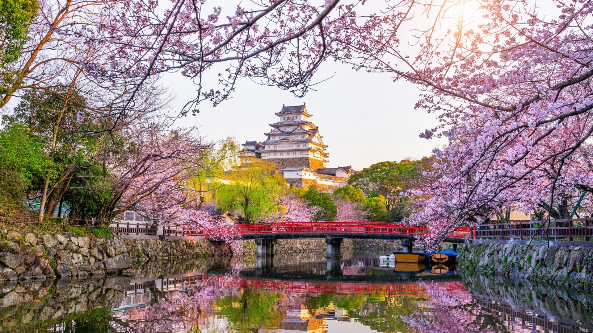 Blossom_castle_himeji_castle_japan_reflection_sakura_spring_4k_5k_hd_travel 51202880