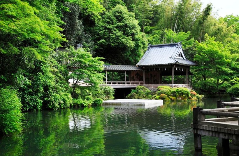 Japan Experince