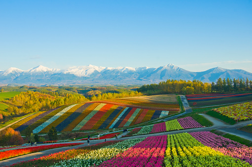 Japan in Autumn
