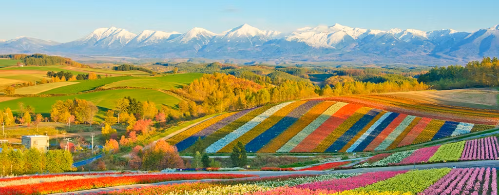 Japan in Autumn