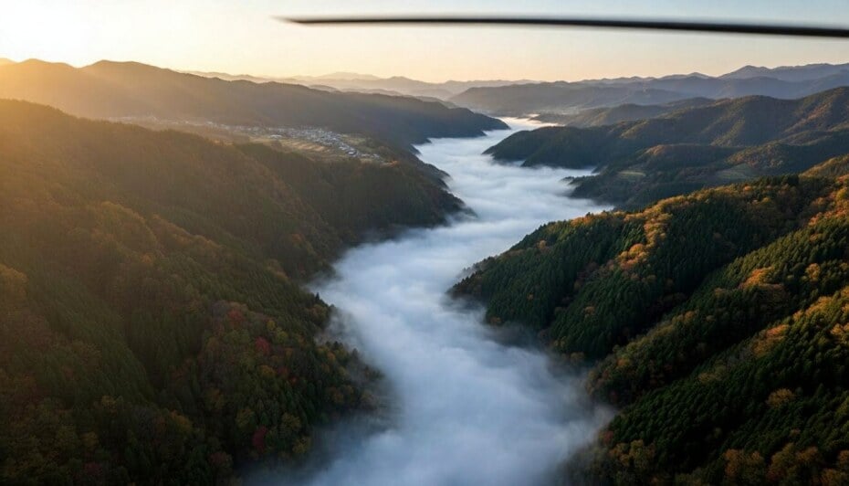 Kyoto to Tokyo, Private Travel
