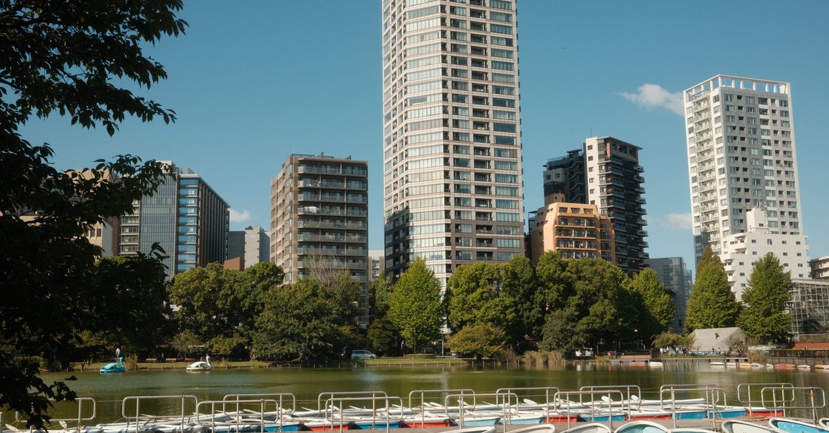 Inokashira Park pond and tree-lined walking path near Kichijoji in Tokyo