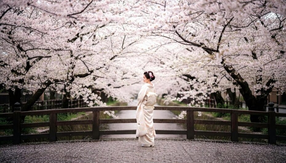 kimono