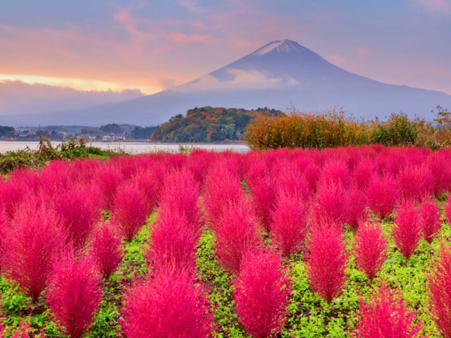 大石公園と富士山
