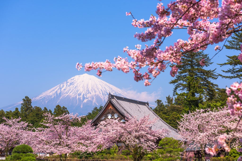 富士山