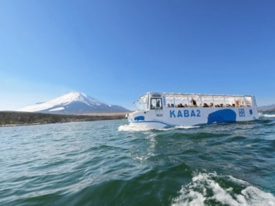 山中湖のKaba（カバ）
