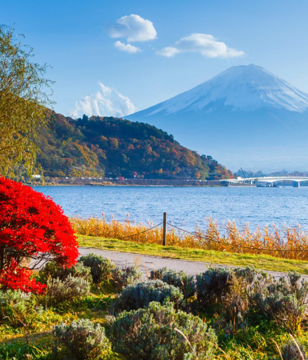 富士山（秋）