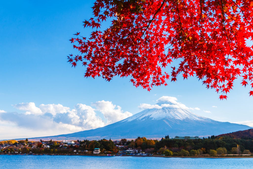 秋の富士山