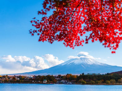 河口湖と富士山（秋）