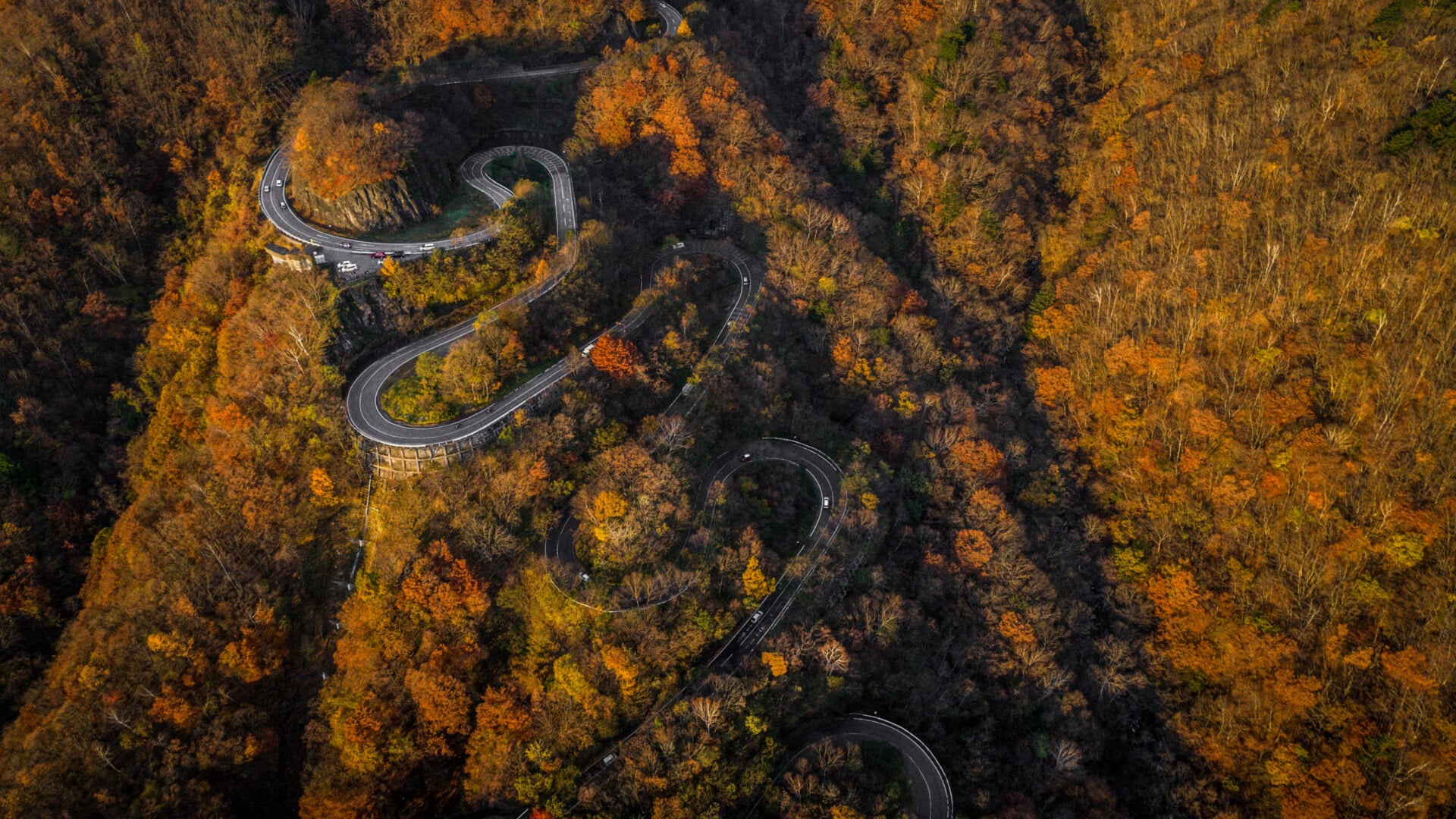 Narrow street between woodland, drone's view - Irohazaki winding road, Nikko