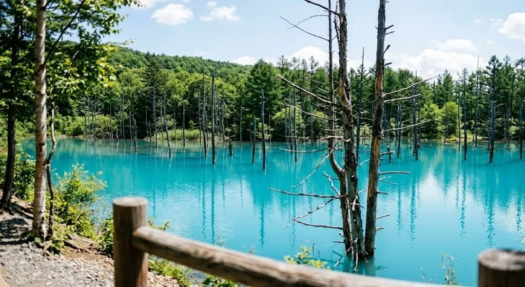 A vibrant landscape photograph taken at high noon, featuring brilliant overhead sunlight illuminating the Shirogane Blue Pond to reveal intensely vivid and glowing turquoise water.