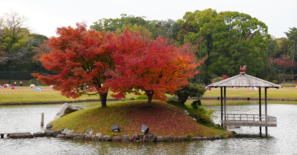 Hamarikyu Gardens in Tokyo with a pond and teahouse in view