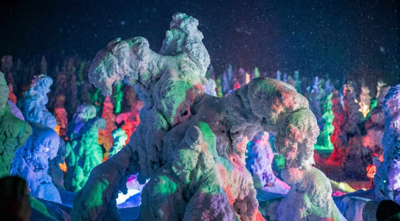 山形・蔵王温泉の斜面でライトアップされる樹氷（スノーモンスター）