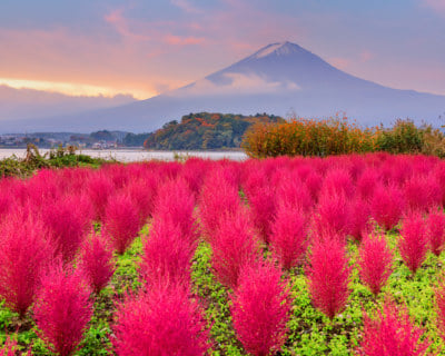 Mt Fuji