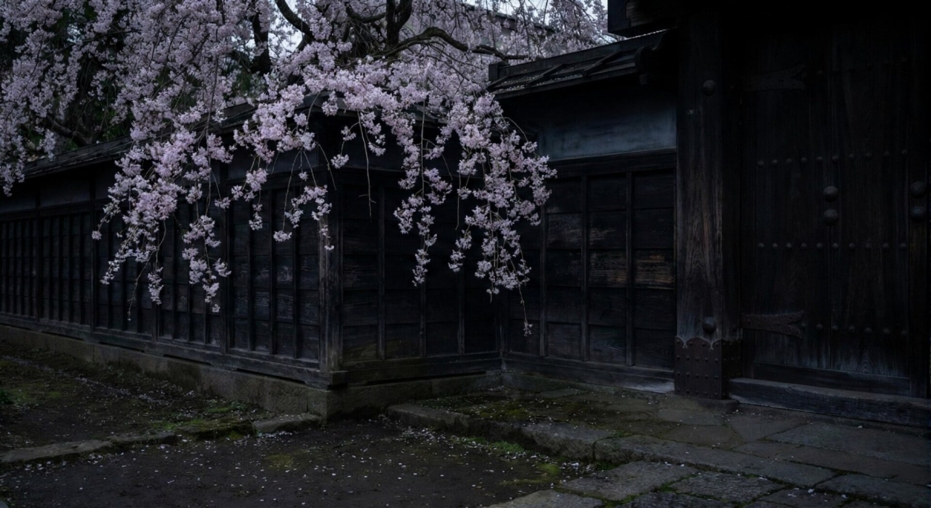 Picture1(354)