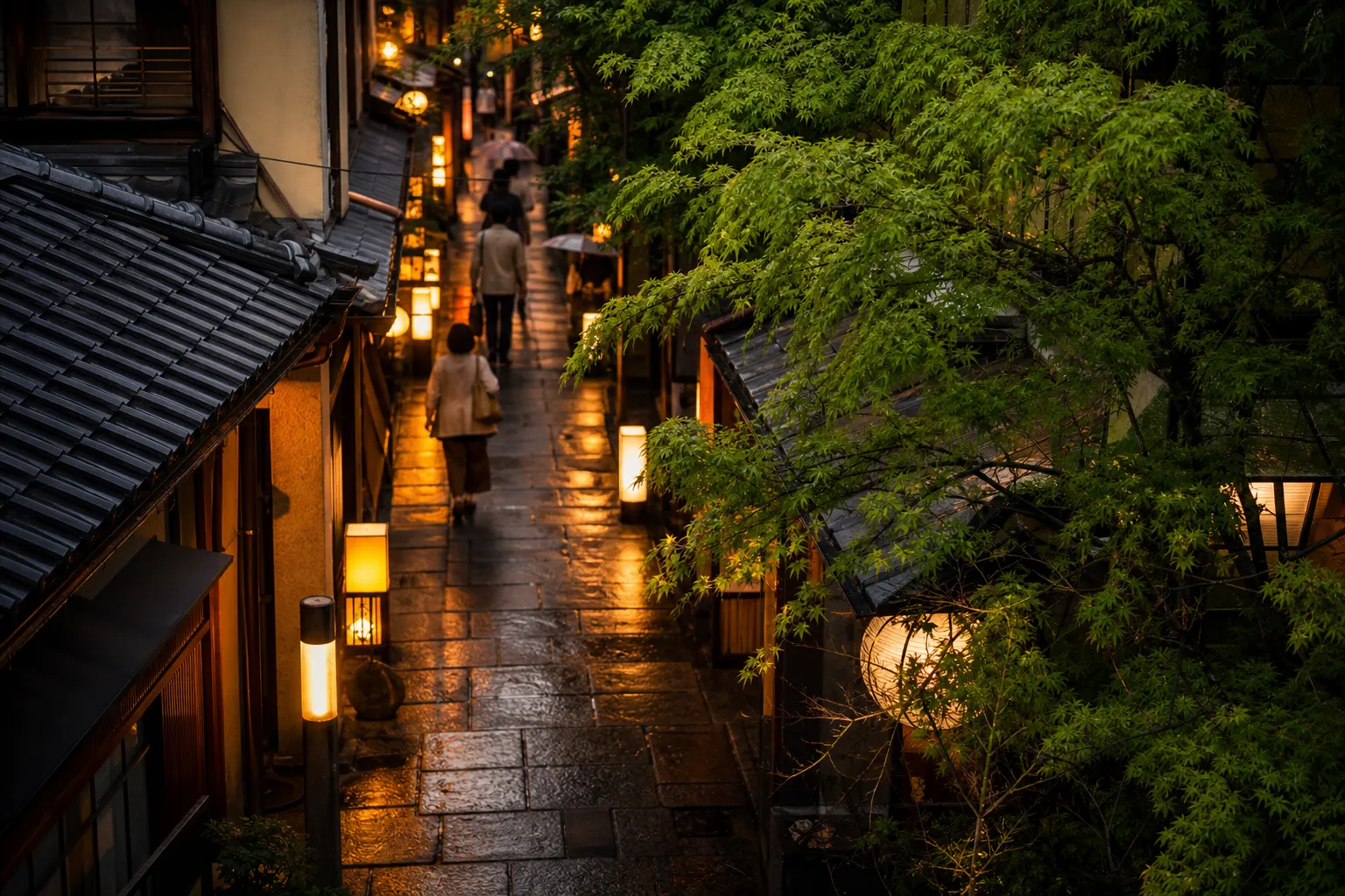 大阪・法善寺横丁の提灯が灯る路地（濡れた石畳が暖かな光を反射）